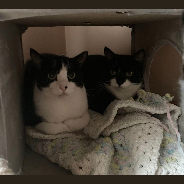 Photo of Bianca And Humphry