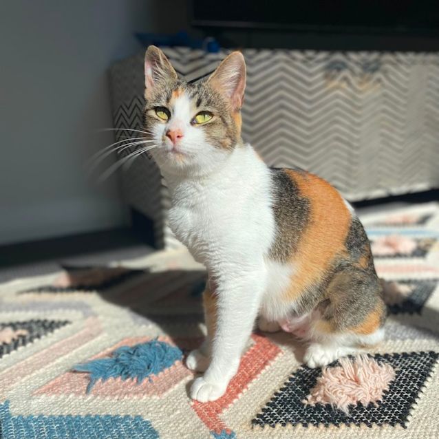 Photo of Peggy