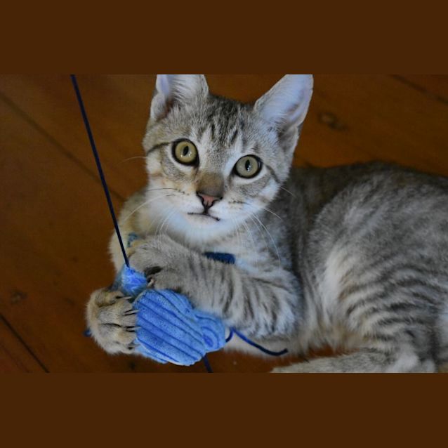 Photo of Latte ❤️