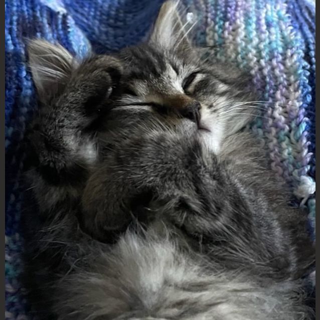 Photo of Duchess