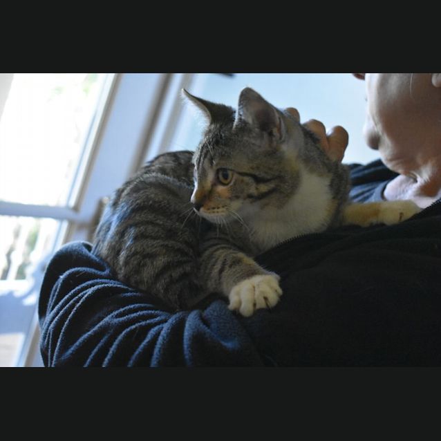 Photo of Blaze ❤️