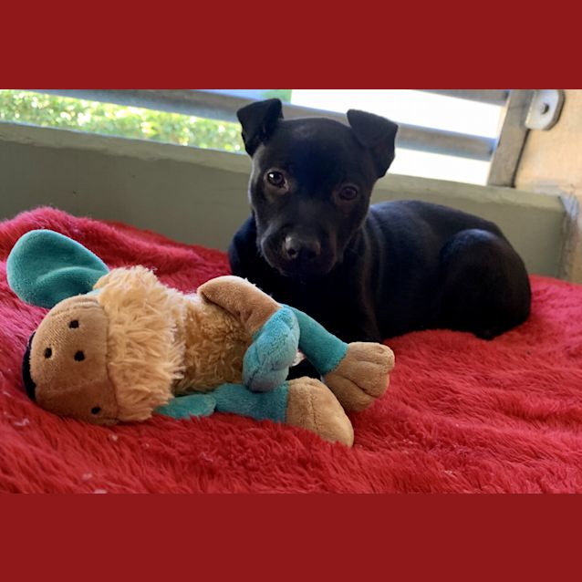 Photo of Zara