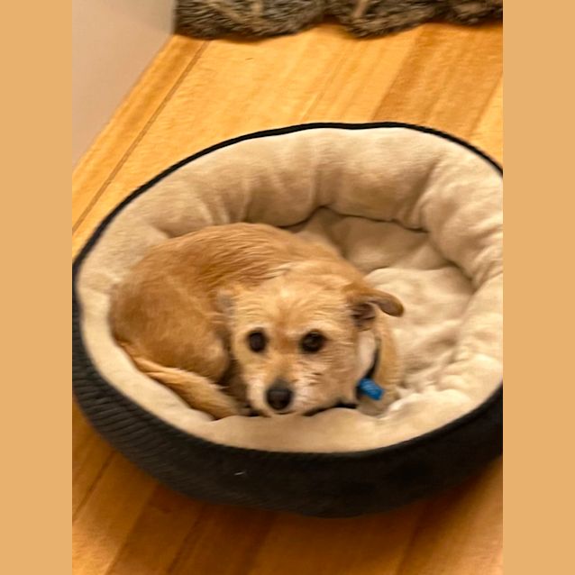 Photo of Freya