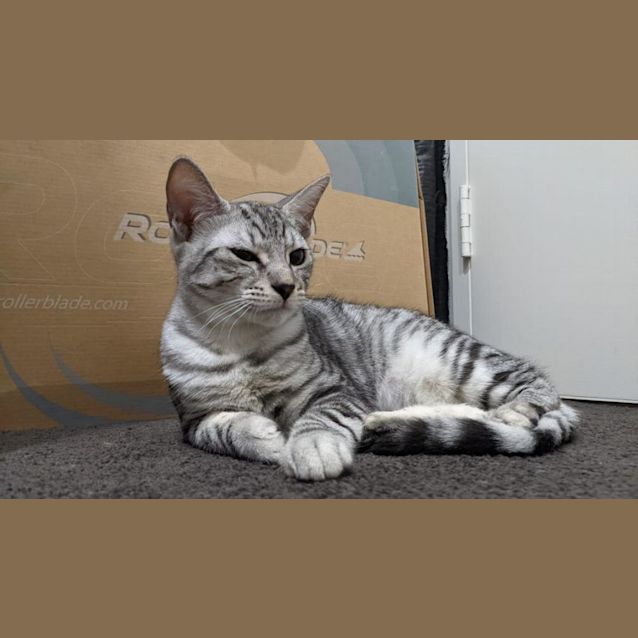 Photo of Jasmine