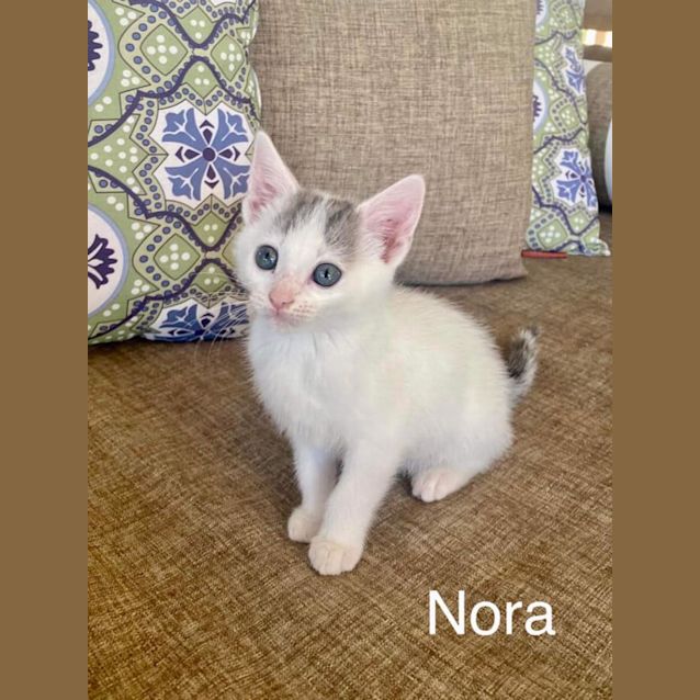 Photo of Nora