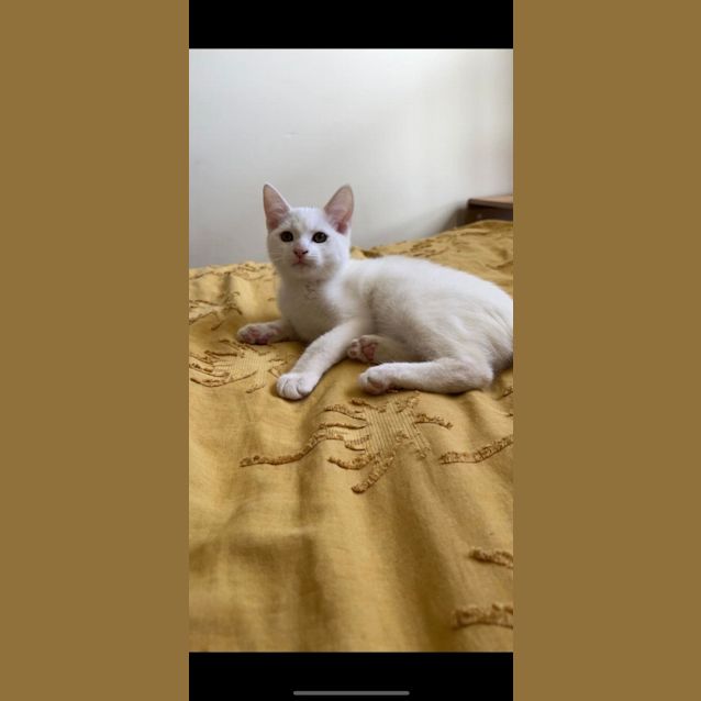 Photo of Noah & Jake