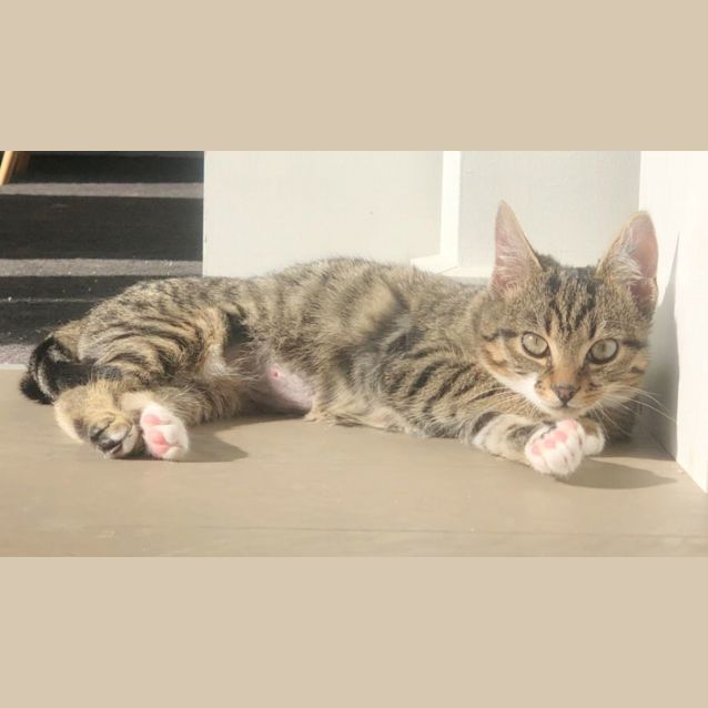 Photo of 🩰Tabitha🩰