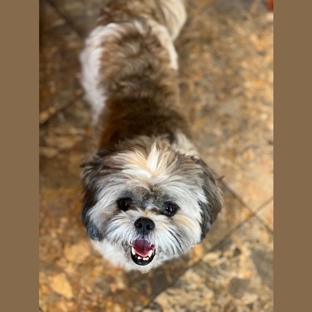 Photo of Molly