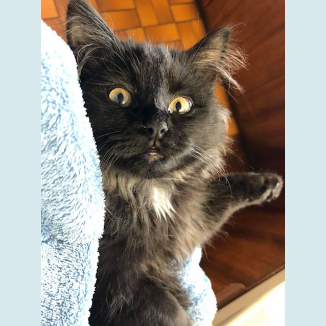 Photo of Ainsley   Located In Eltham