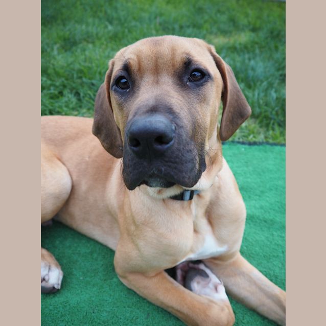 Photo of Wilbur