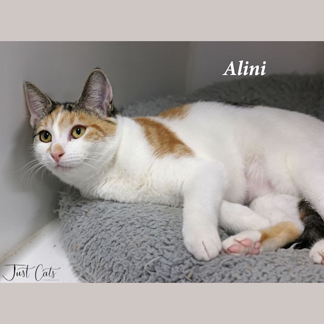 Photo of Alini