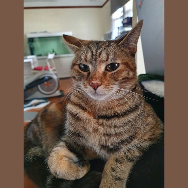 Photo of Kingston