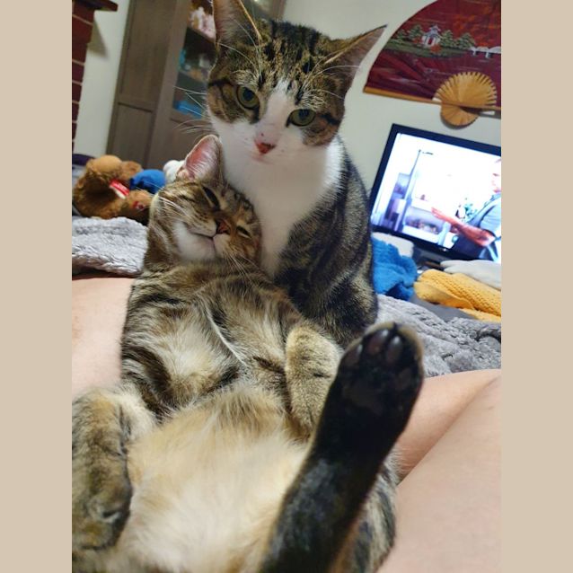 Photo of Molly