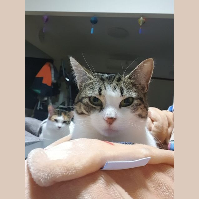Photo of Molly