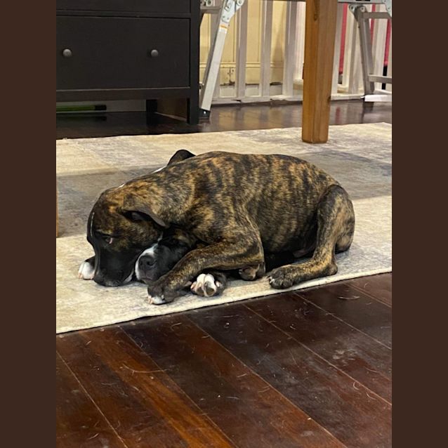 Photo of Oakley 