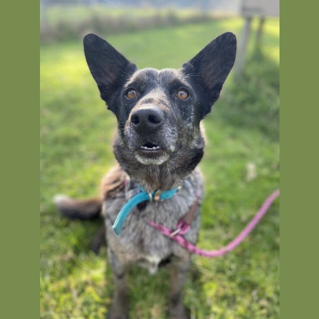 Photo of Floyd