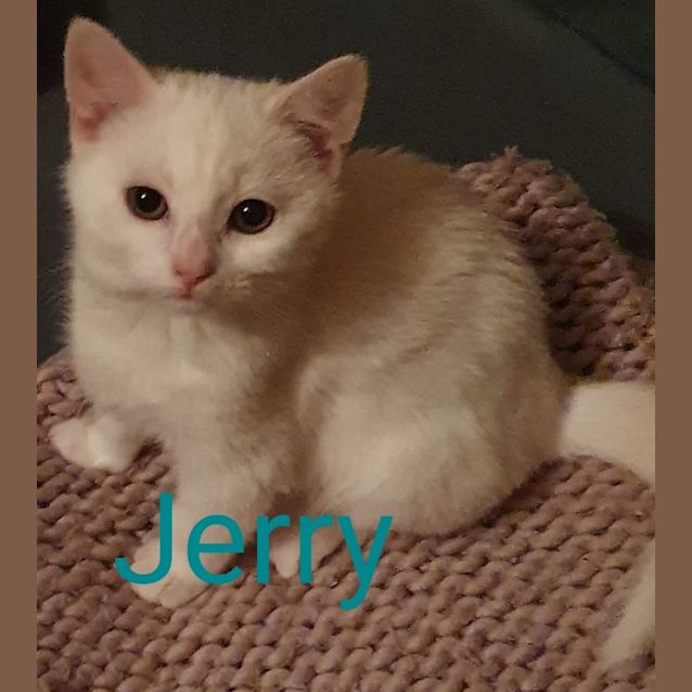 Photo of Jerry