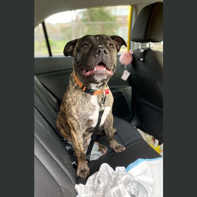 Photo of Evie 