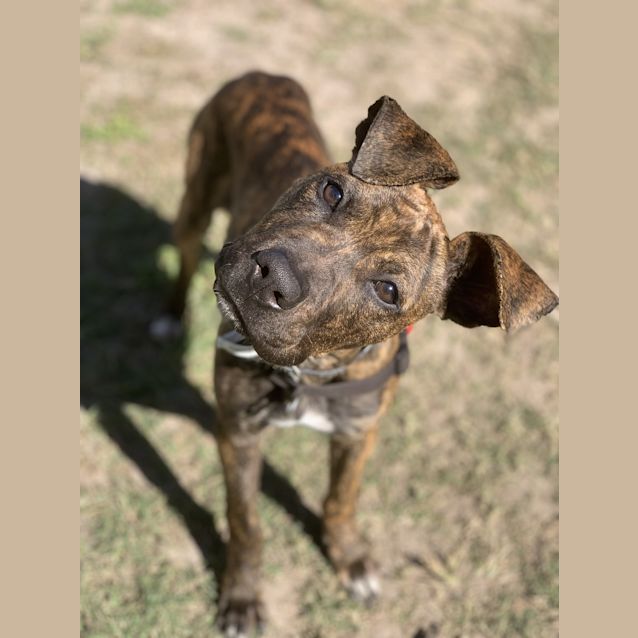 Photo of Max