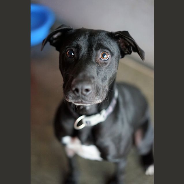 Photo of Luna
