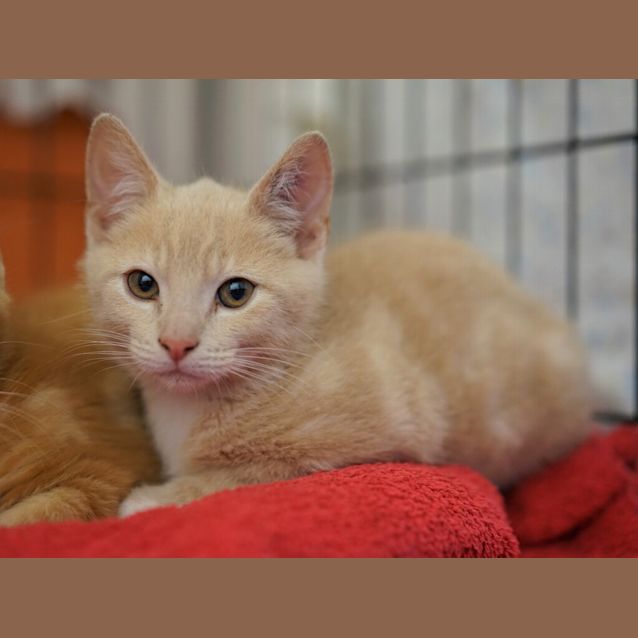 Photo of Maverick