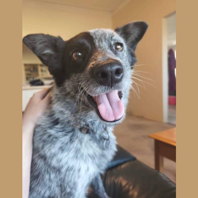Photo of Lexie