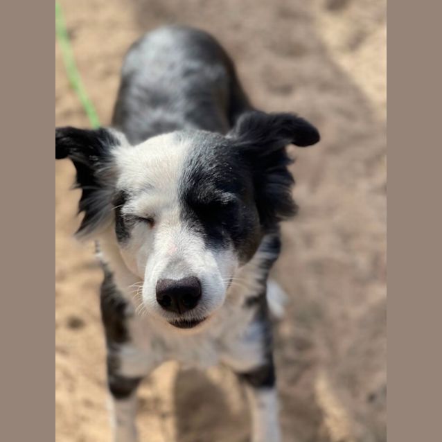 Photo of Sharlene (Charli Girl)