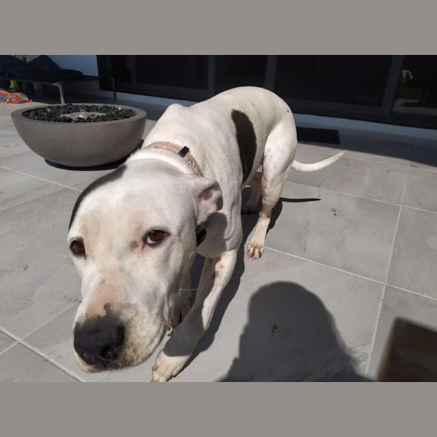 Photo of Artemis