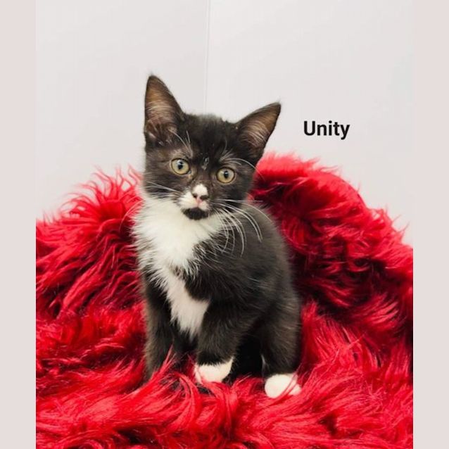 Photo of Unity