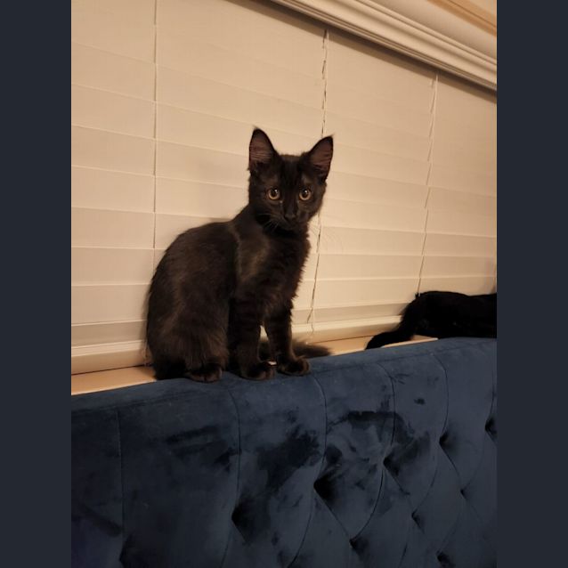 Photo of Cassie
