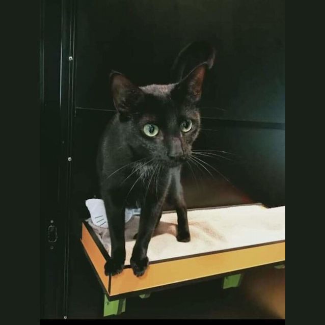 Photo of Katie