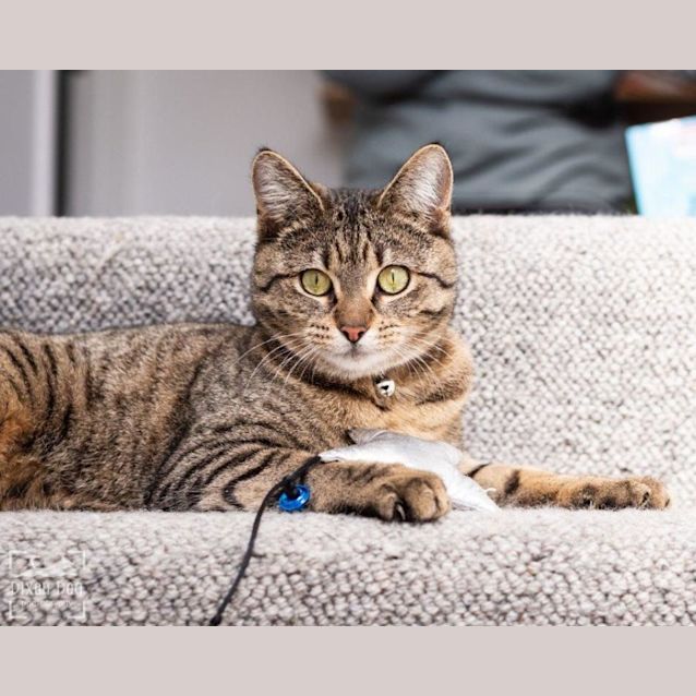 Photo of Kitty Mc Namara