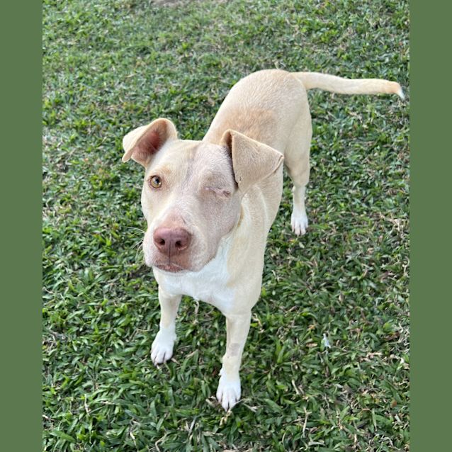 Photo of Willow (Gertie)