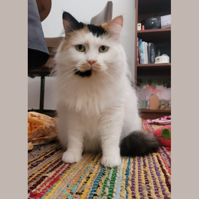 Photo of 🧡Giselle🧡