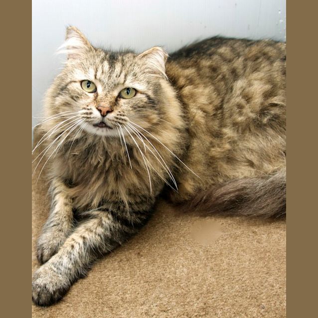 Photo of Max