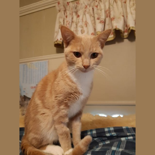 Photo of Bluey