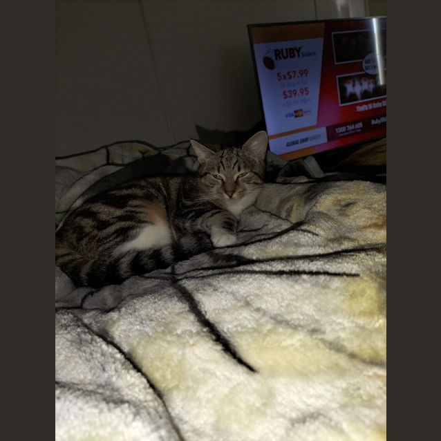 Photo of Ellie