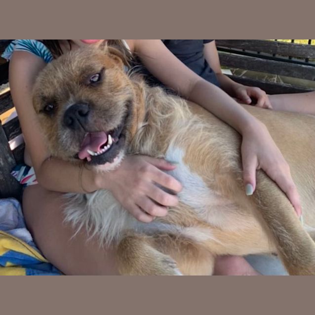 Photo of Hurley And Daisy 