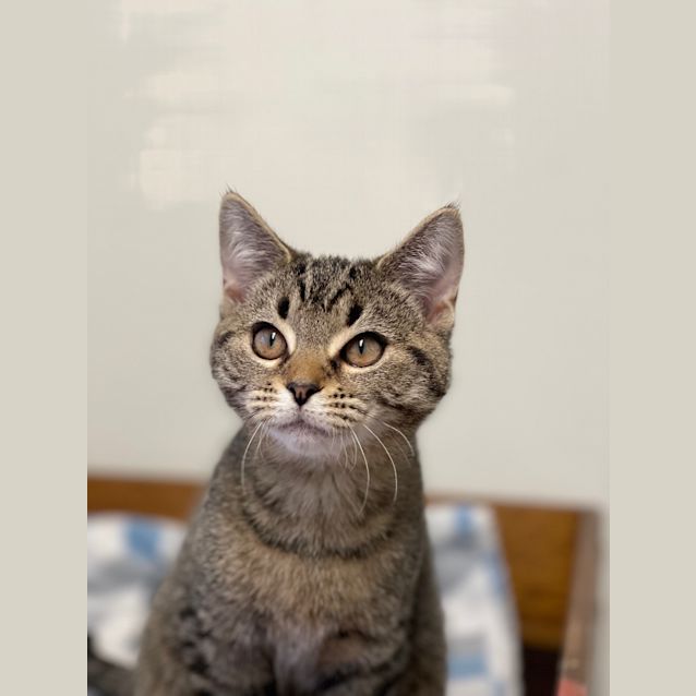 Photo of April