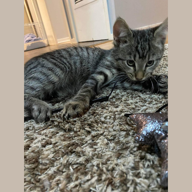 Photo of 🍐Pear 🍐