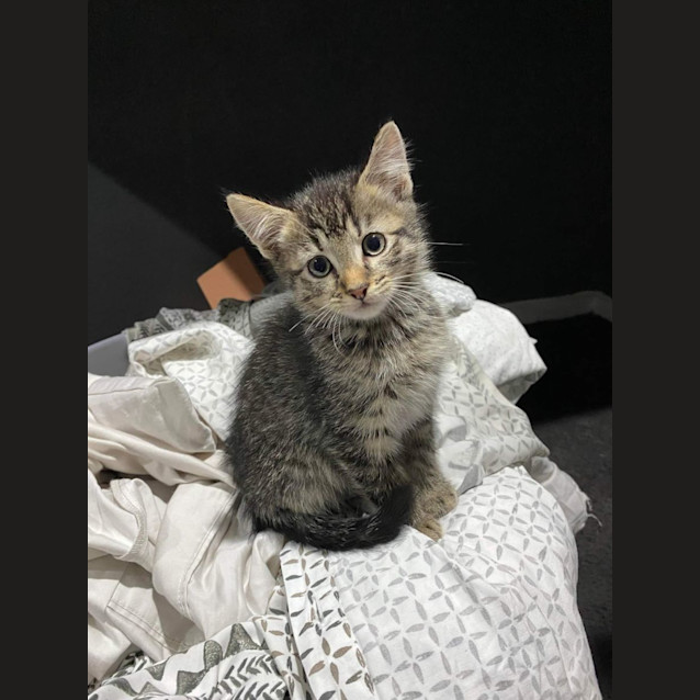 Photo of 🍐Pear 🍐