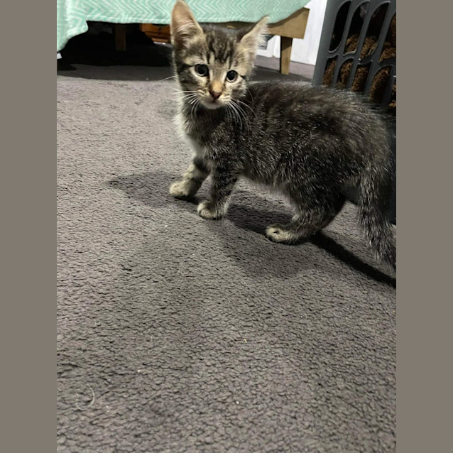 Photo of 🍐Pear 🍐