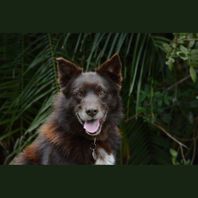 Photo of Red