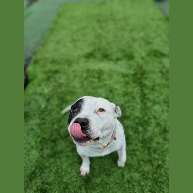 Photo of Patch