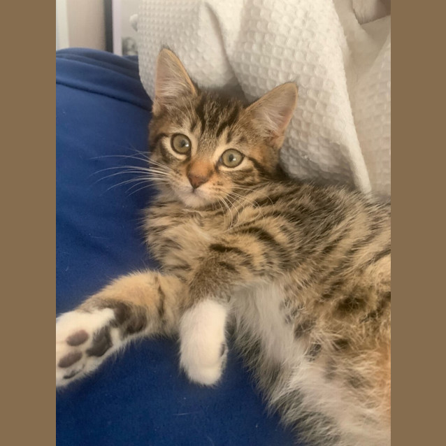 Photo of Oscar