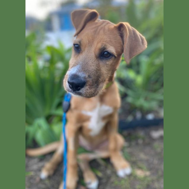Photo of Lucy