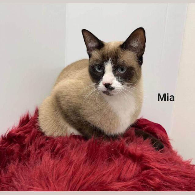 Photo of Mia