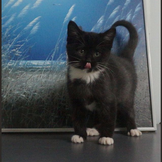 Photo of Latifah