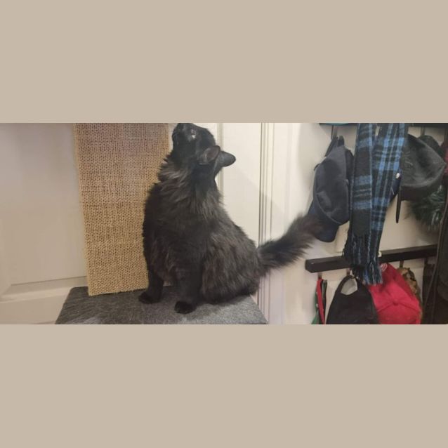 Photo of Wednesday 🖤