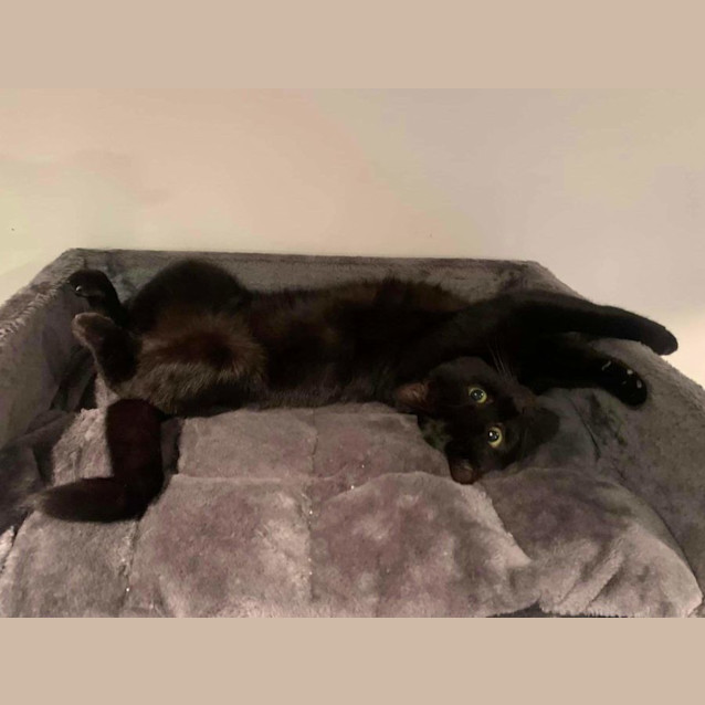 Photo of Sergio 🖤